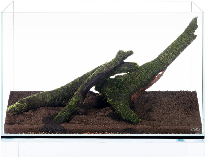 aquariumdriftwoodplacement