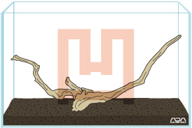 concavedriftwoodlayout