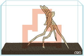 convexdriftwoodlayout